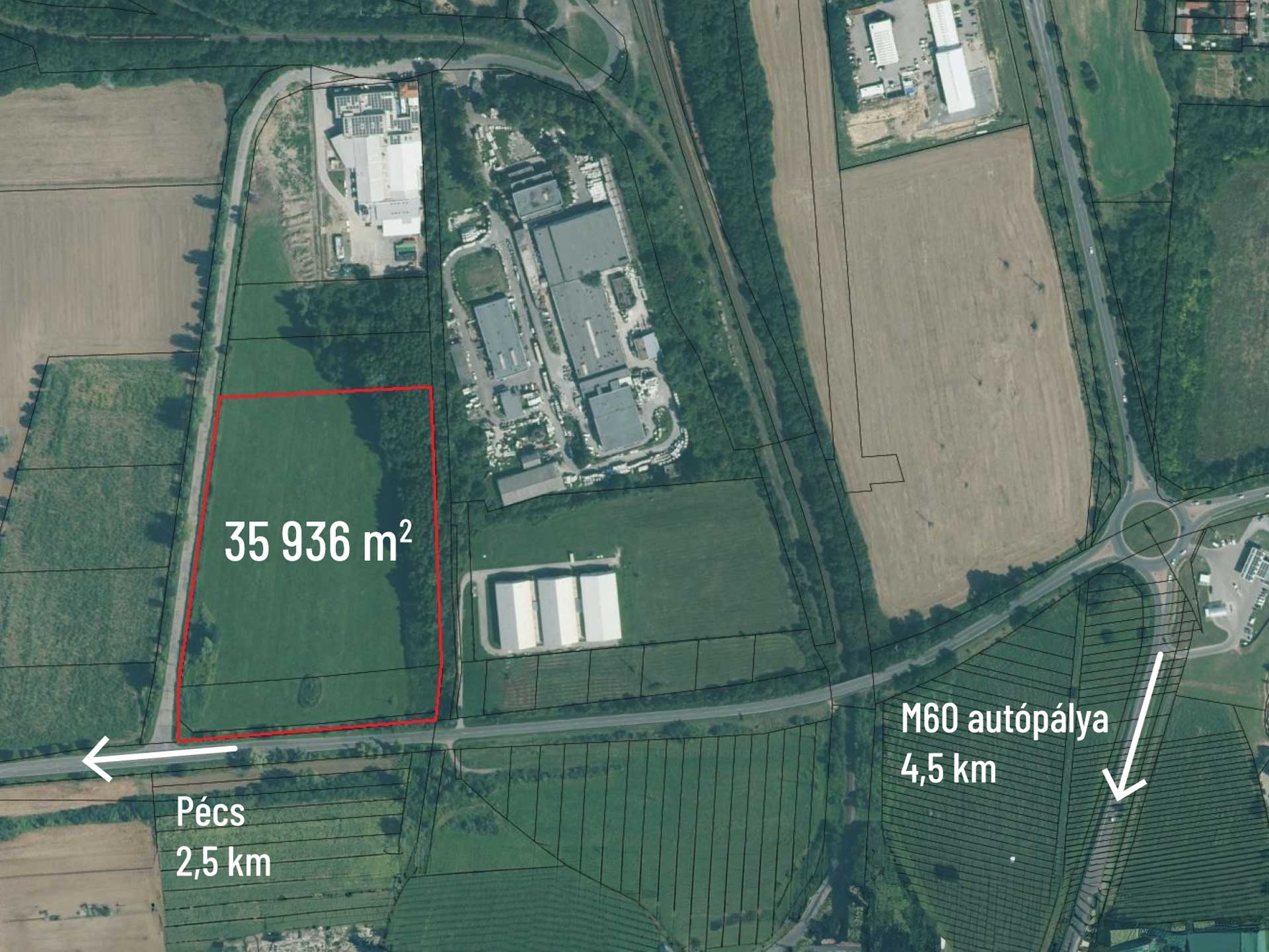 Piacépítés Pannova Group Pécs